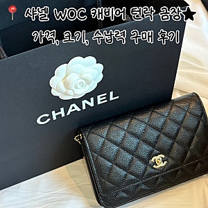 샤넬 WOC 캐비어 턴락 금장 미니백 | 강남 신세계백화점 가격, 크기, 수납력