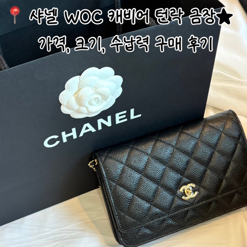 샤넬 WOC 캐비어 턴락 금장 미니백 | 강남 신세계백화점 가격, 크기, 수납력