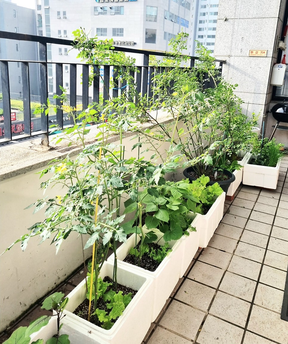 오므파탈 김포풍무점 사진 3