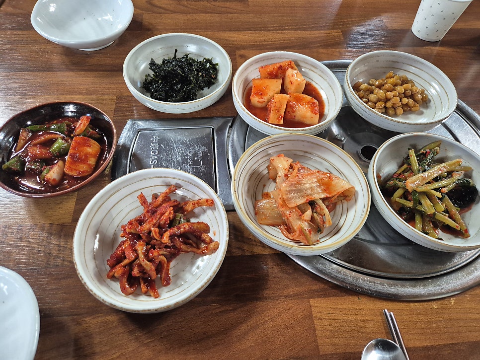 콩나라 사진 6