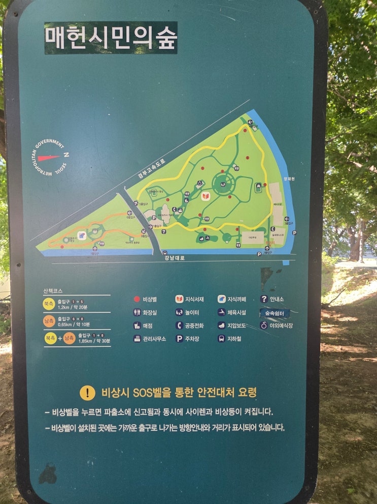  [서울 아이와 가볼만한곳] 양재시민의숲 : 도시 속 완벽한 초록 힐링! 놀이터와 물놀이까지 알찼던 주말 나들이 후기