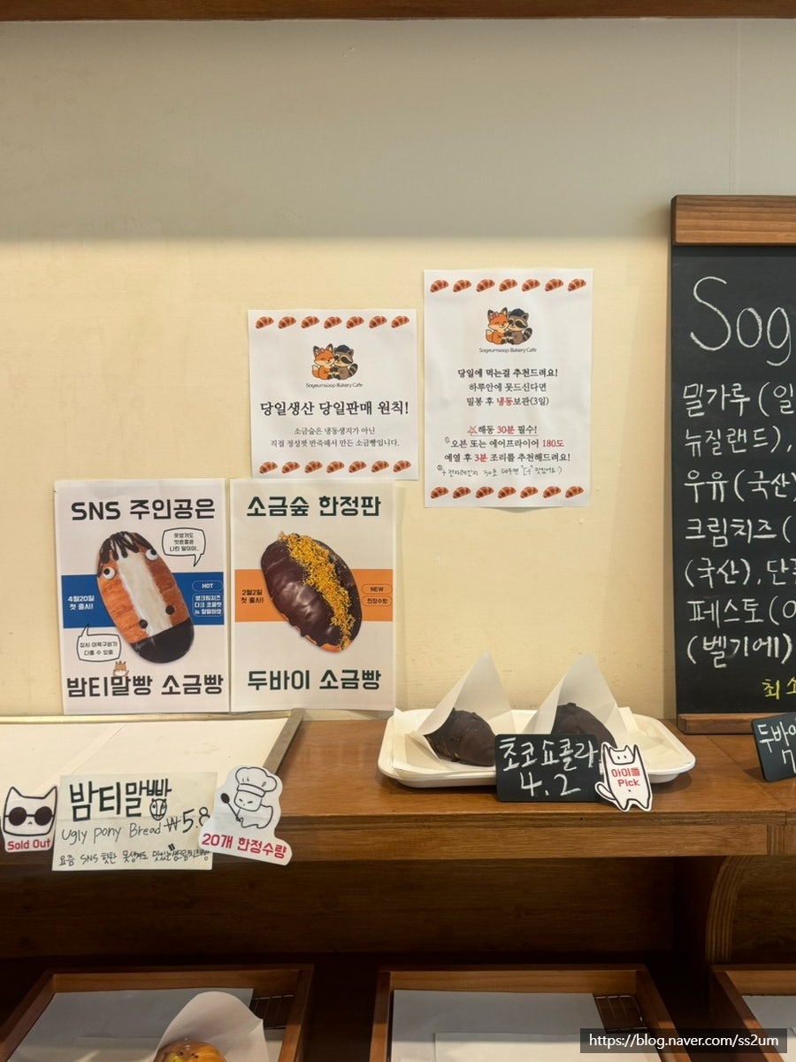 소금숲 사진 6