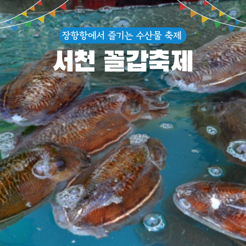 서천 꼴갑축제 2026 일정 총정리! 장항항에서 즐기는 수산물 먹거리 축제