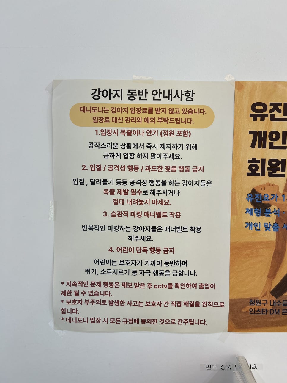 데니도니 사진 6