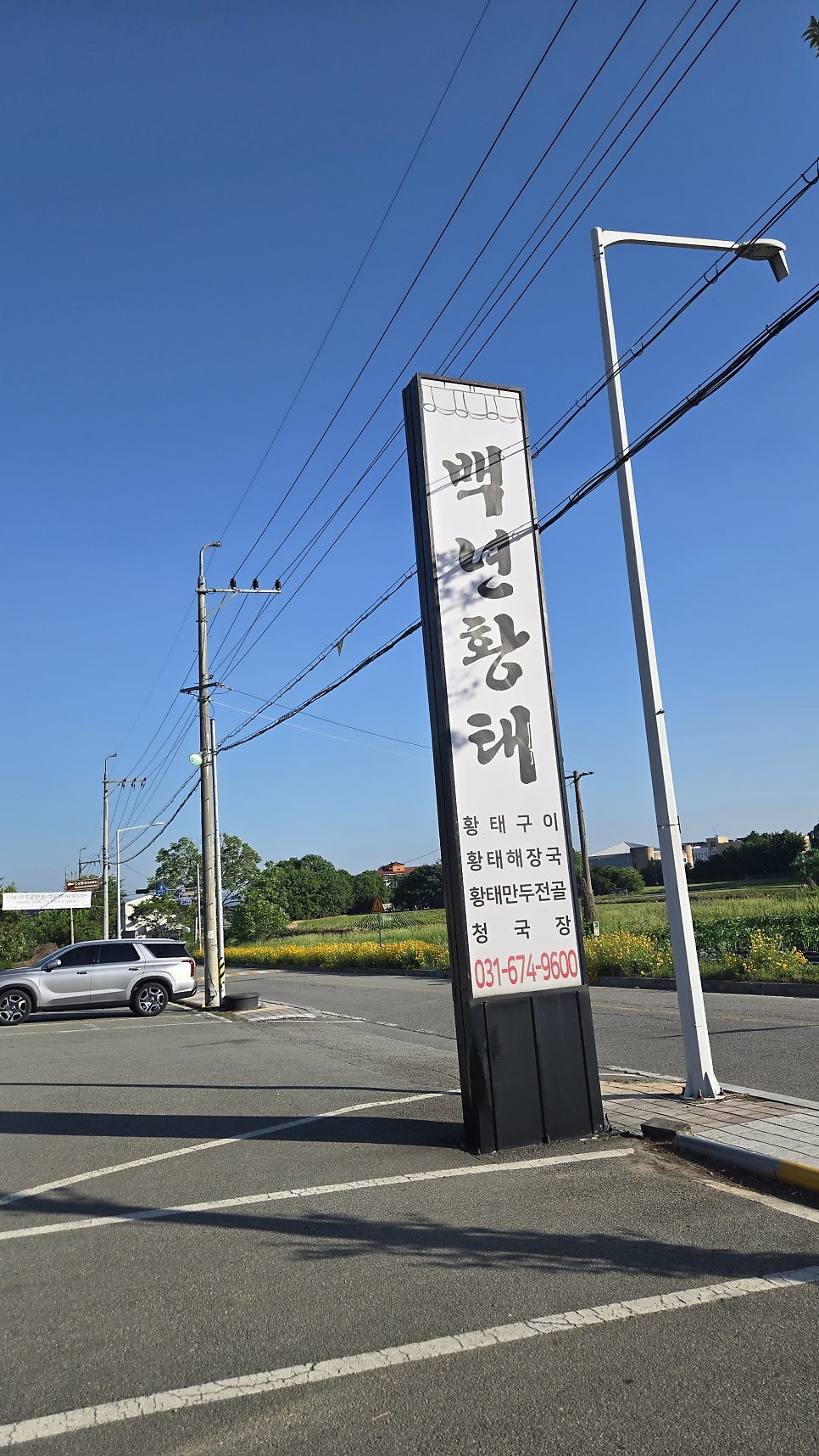 백년황태 사진 2