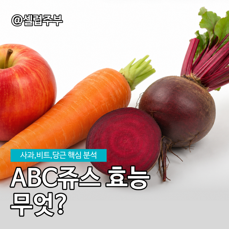 사과·당근·비트 효능 총정리, 기적의 ABC쥬스효능 황금비율!