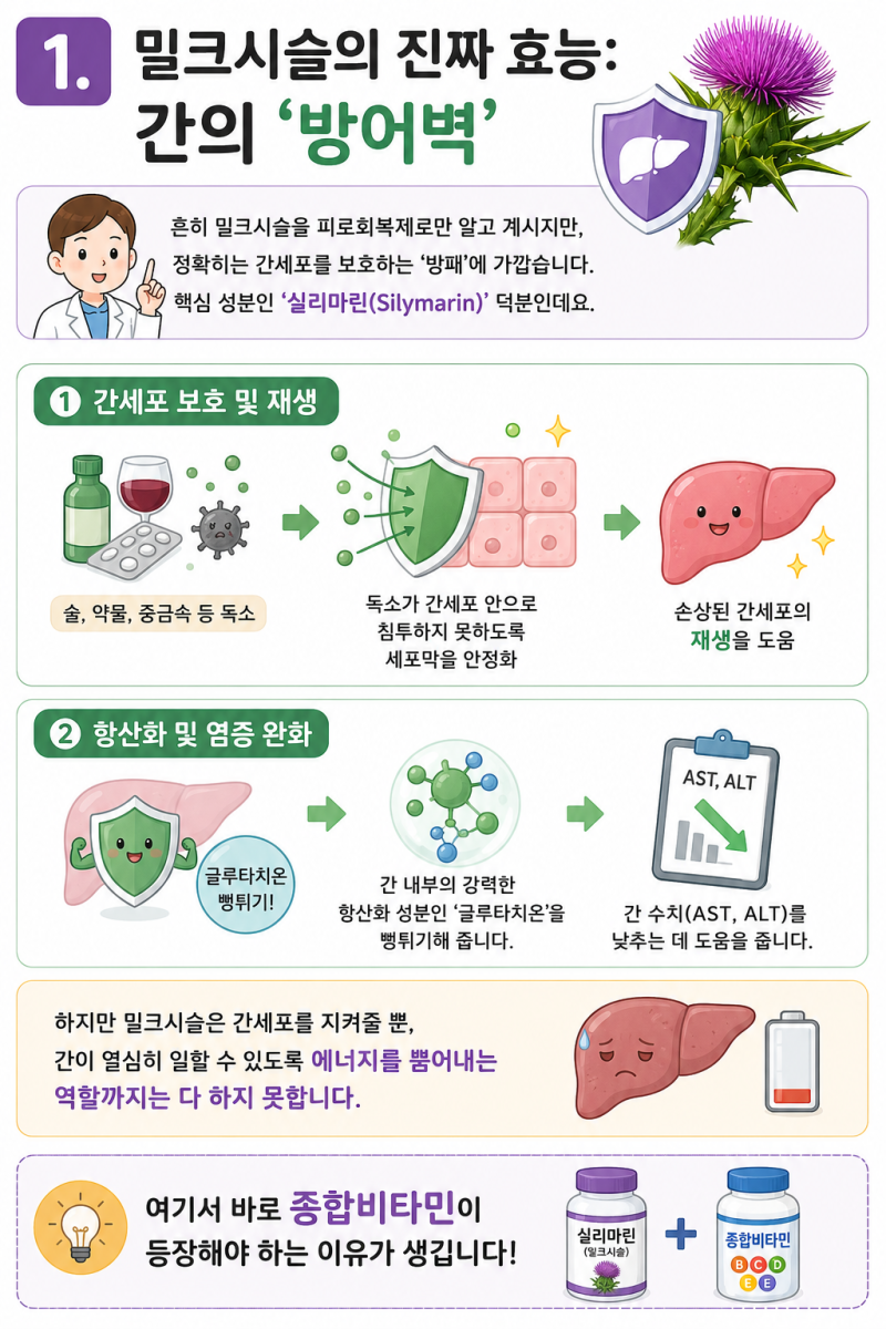 [밀크시슬] 종합비타민을 같이 먹는 이유?