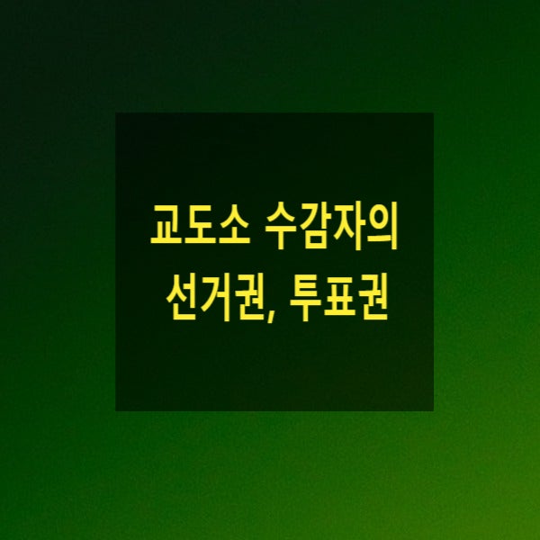  교도소 수감자(수용자)의 선거권, 투표권(집행유예)(선거권이 없는자, 금치산자, 성년후견인, 수형자, 전과자, 자격정지, 치료감호, 외국인, 복수국적자)