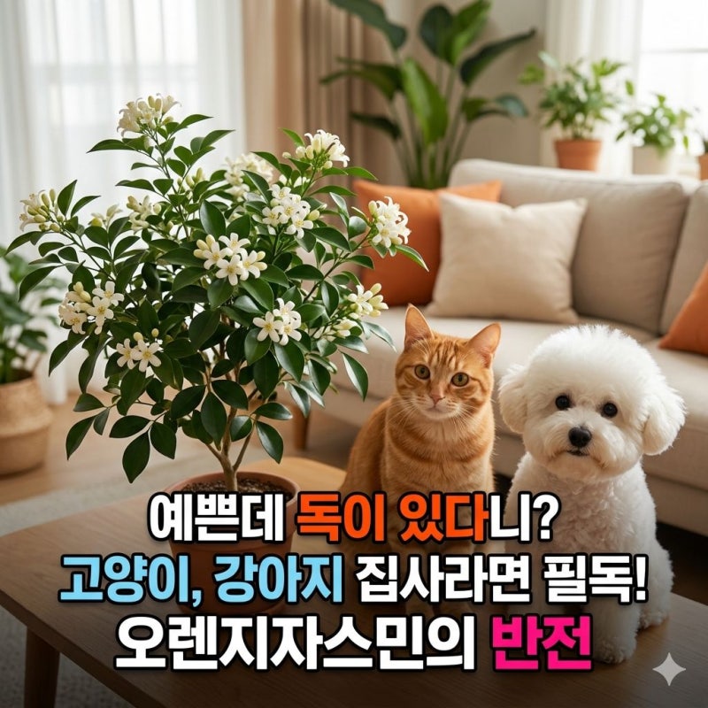 예쁜데 독이 있다니? 고양이, 강아지 집사라면 꼭 알아야 할 오렌지자스민의 반전