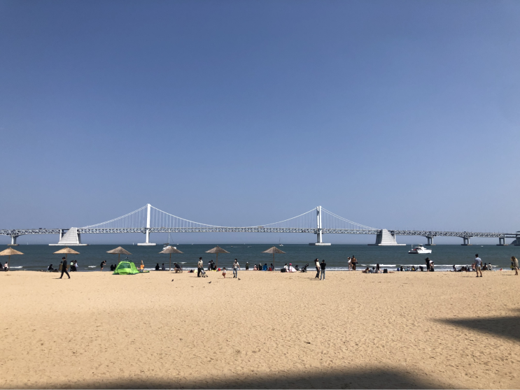  광안리 드론쇼와 여름 성수기를 앞둔 은퇴 부부의 공실 해방기, 부산 단기 임대 준비와 직방 사전등록