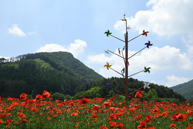 용추골 사진 1