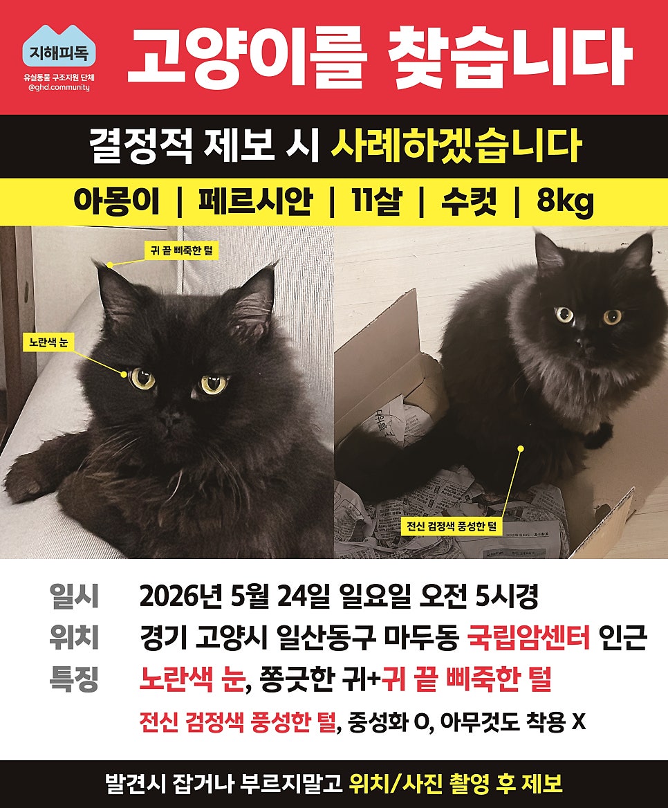 아몽 사진 3