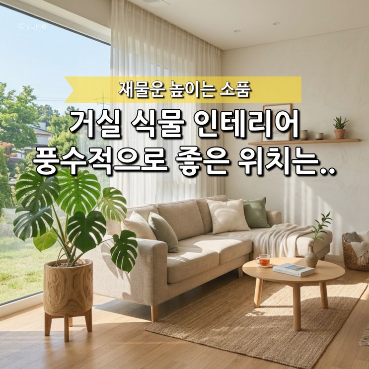 재물운 높이는 거실 인테리어 "이 식물을 두면 풍수적으로 좋습니다"
