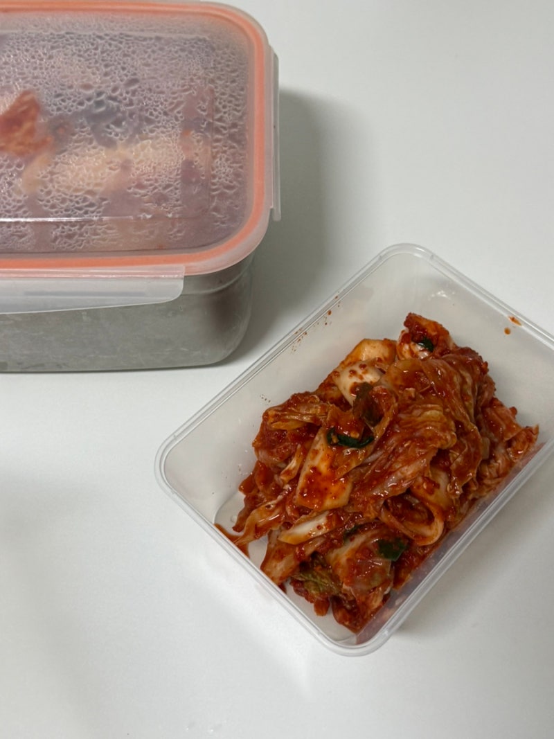 반찬 보관부터 전자레인지 사용까지! 프라장 사각반찬용기 세트 후기