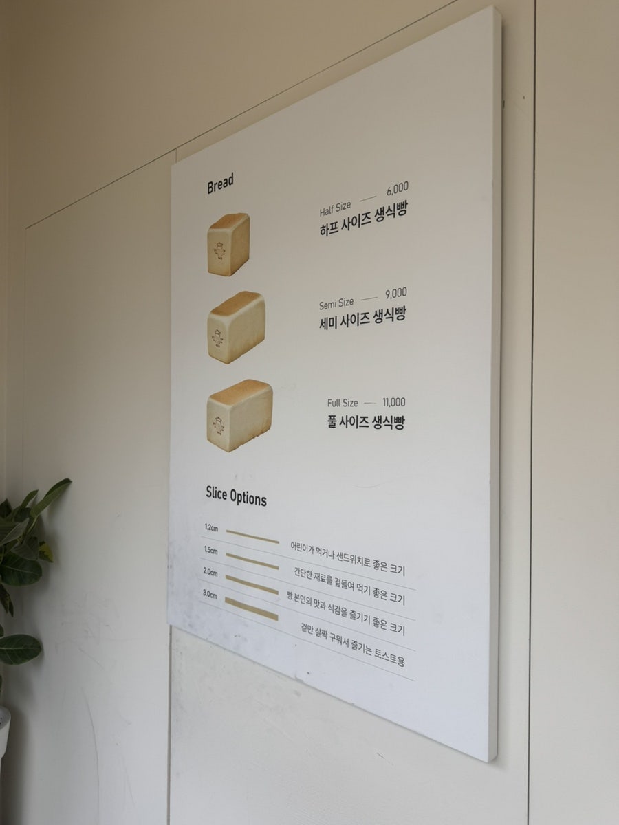 화이트리에 제주직영점 사진 4
