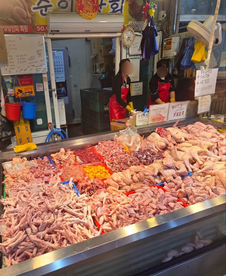 사마리칸트 차이하나 사진 6