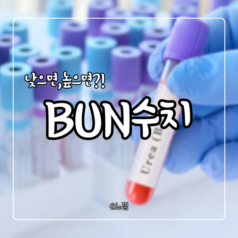 BUN 수치 높은 이유 낮음 낮추는법
