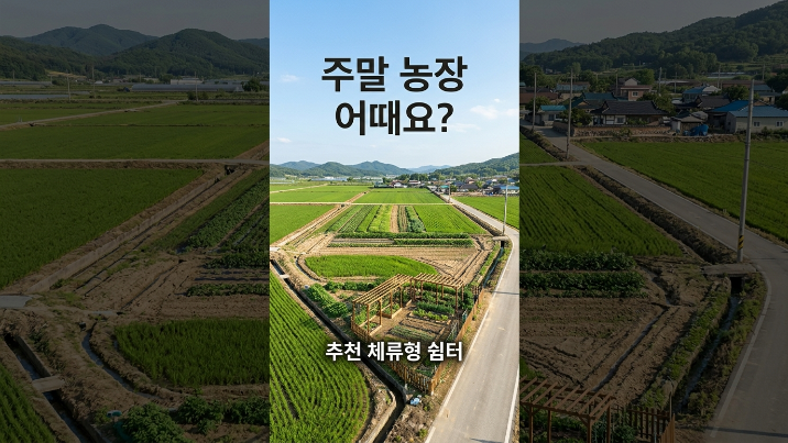  이천시 신둔면 지석리 496 토지 매매｜체류형 쉼터·주말농장 추천 농지