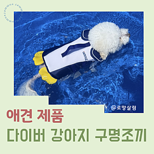 위니즈 강아지구명조끼를 선택한 이유