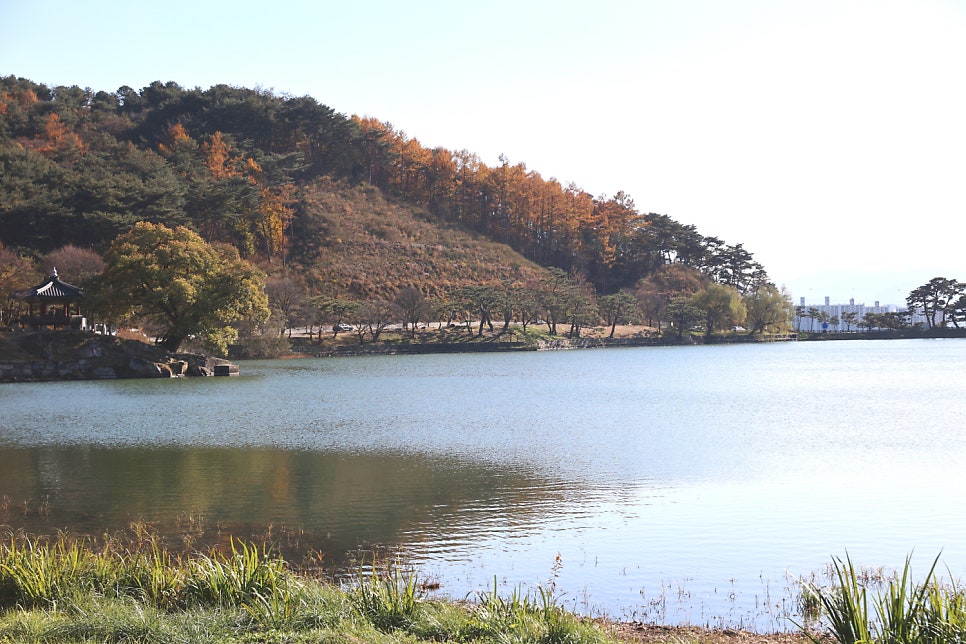 명가백숙 사진 3