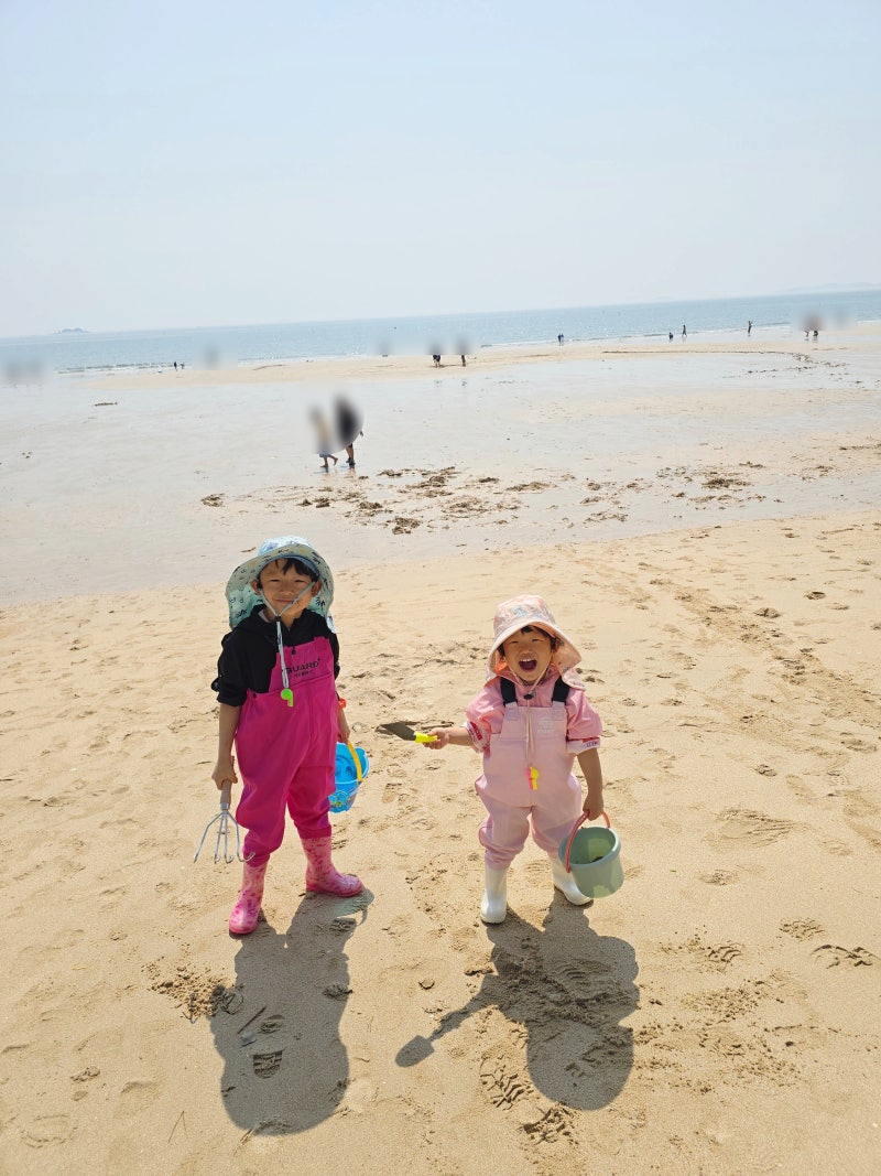 아이들과 대천해수욕장! 갯벌체험 그리고 물놀이⛱️