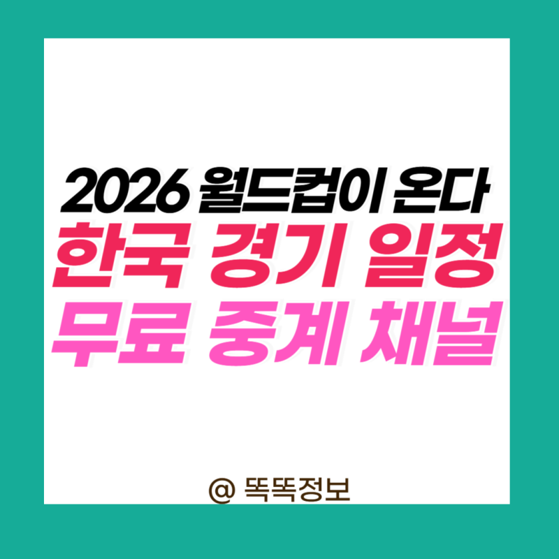 2026 월드컵 일정 한국 축구 대표팀 경기 및 무료 중계 채널 바로가기