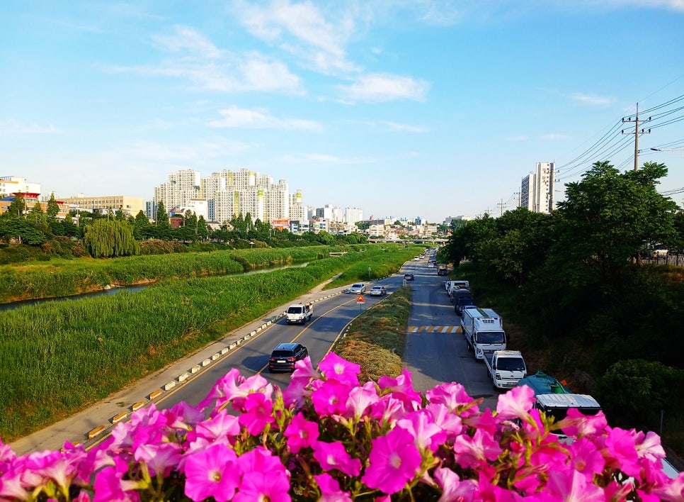 멀산 사진 6