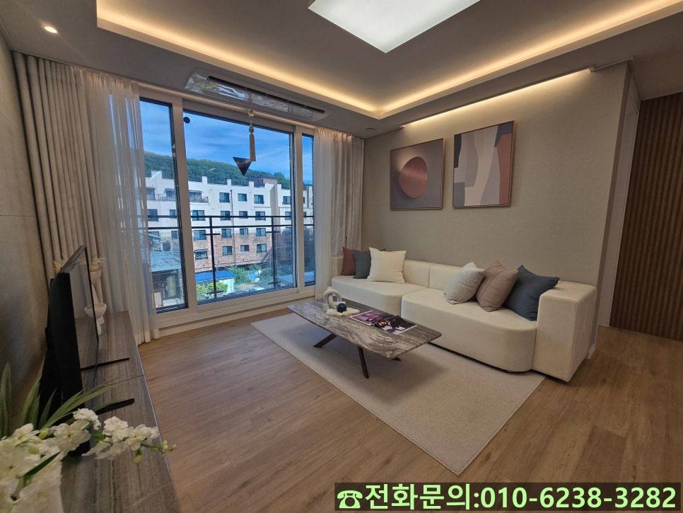 호림 사진 6