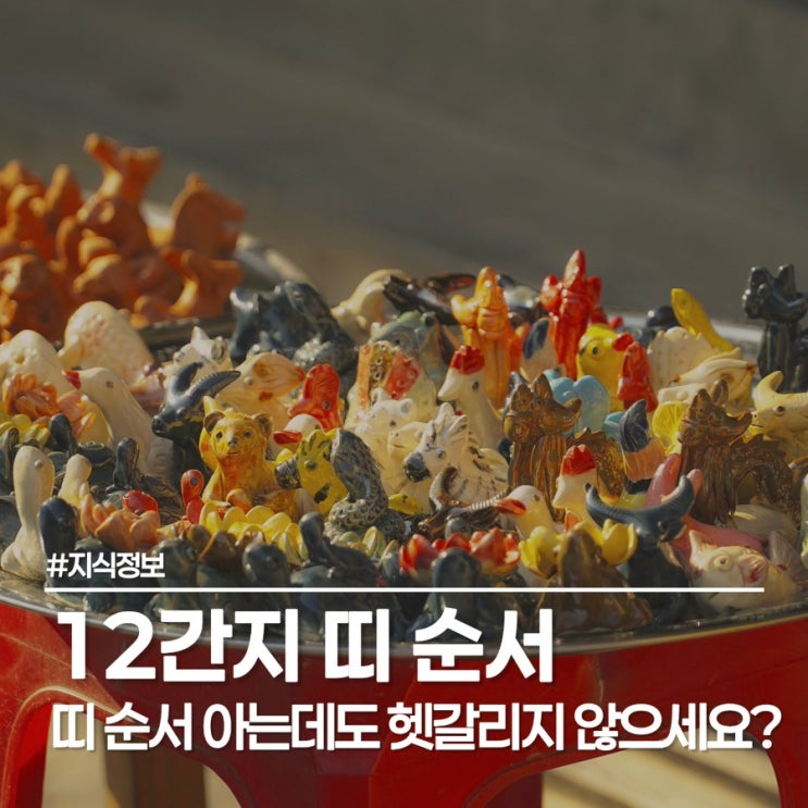  띠 순서 12간지 외우는 법과 동물 나이 계산 팁까지