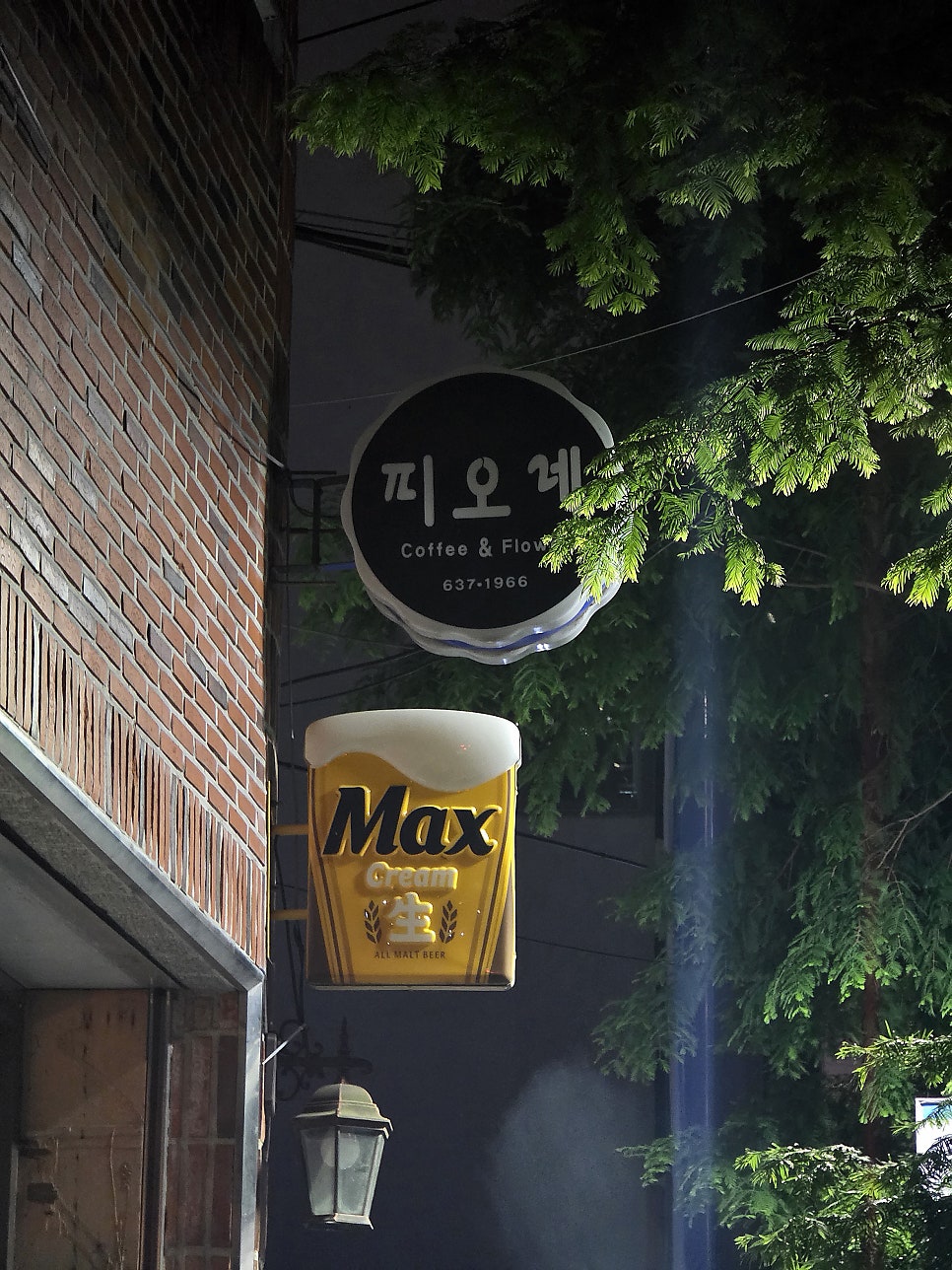 피오레 사진 6