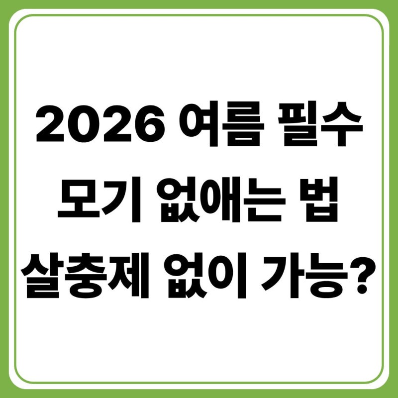 모기 없애는 법 총정리(+살충제 대신 모기 쫓는 식물·허브 화분 추천)