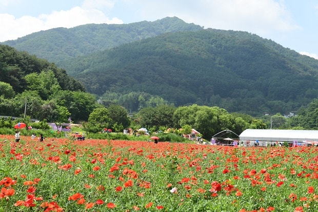 용추골 사진 2