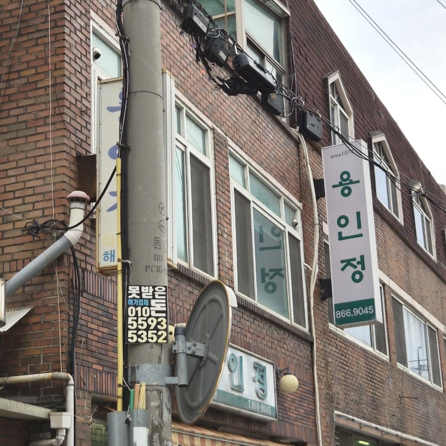 용인정 사진 1