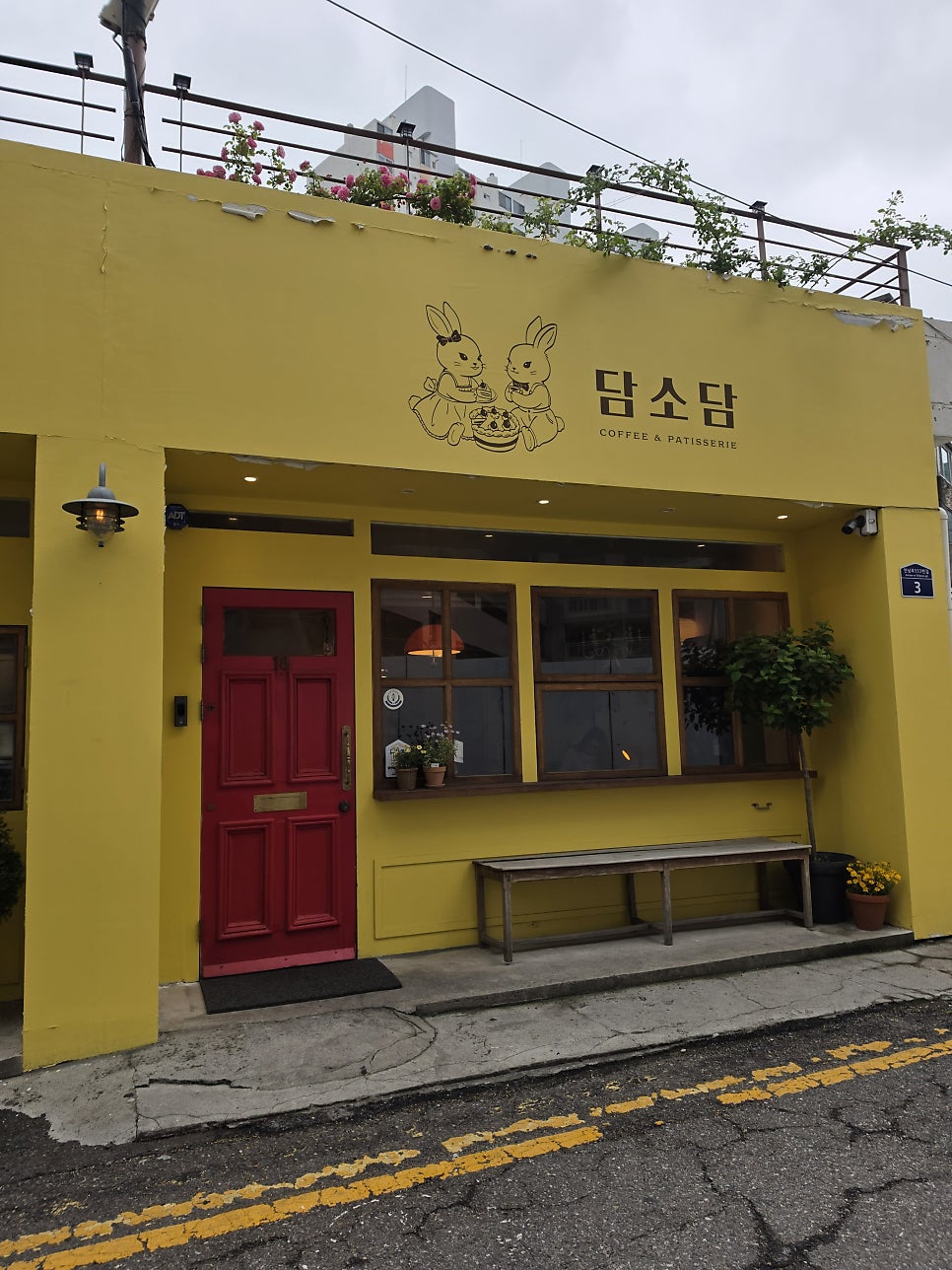 담소담 사진 3