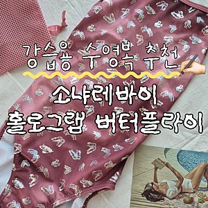 수린이 강습용 한겹 수영복 추천 소냐레바이 버터플라이 s사이즈 내돈내산(착용샷 O)
