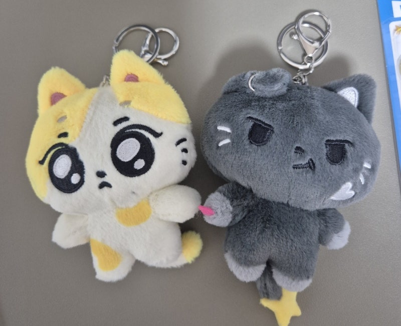 ENHYPEN ENCHIN Goods Review