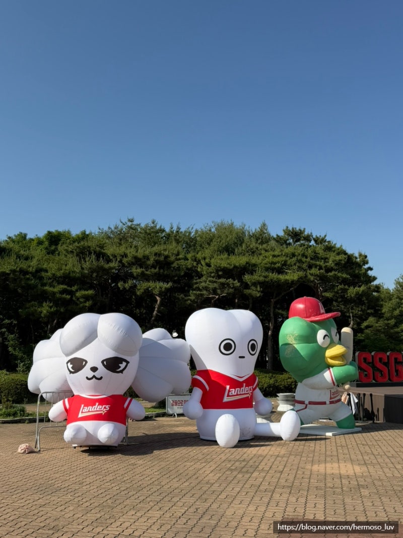 [랜더스필드 내야필드석 후기] 260524 삼성vsSSG 경기 / 내야필드석 116B블록 후기, 랜더스필드 주....