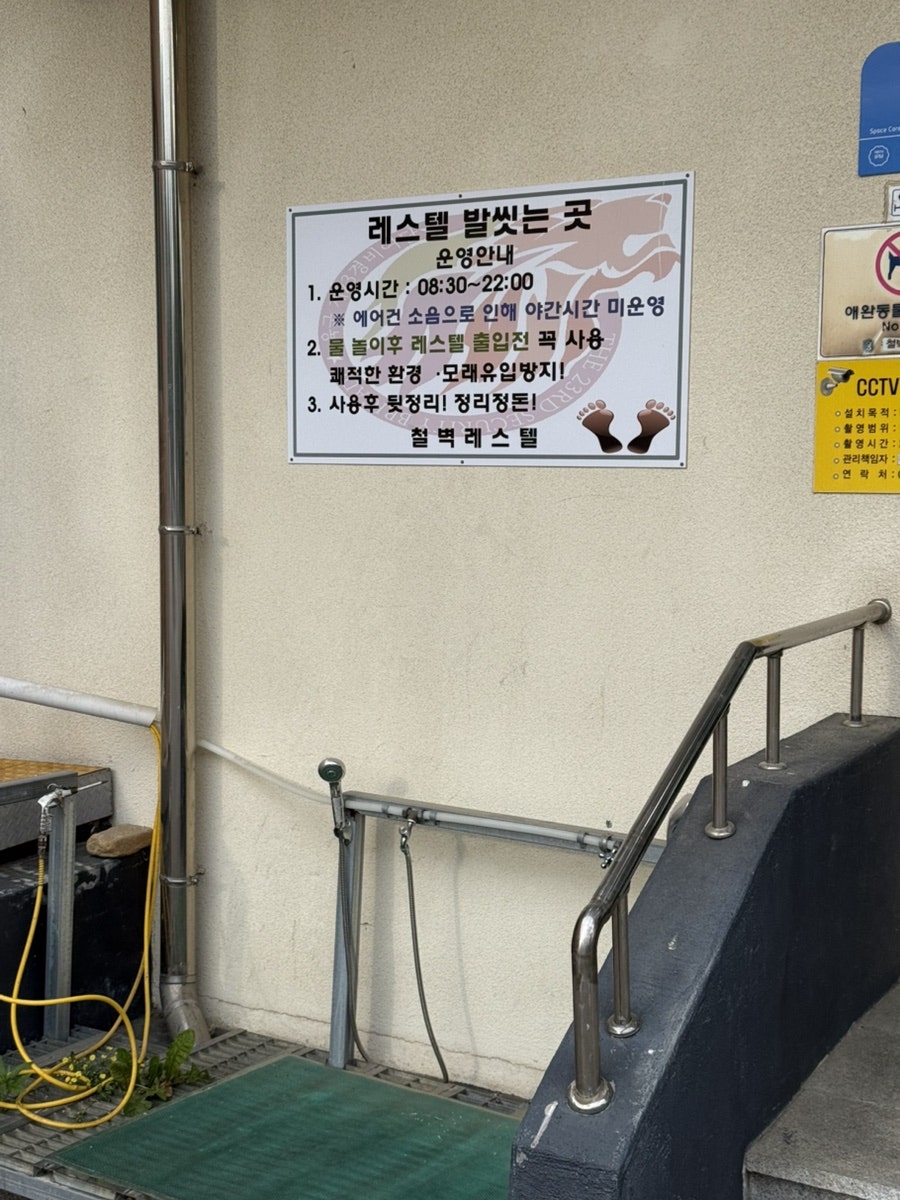 철벽레스텔 사진 2