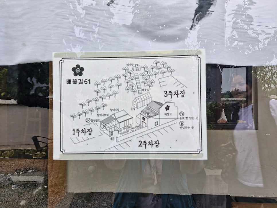 배꽃길61 사진 6
