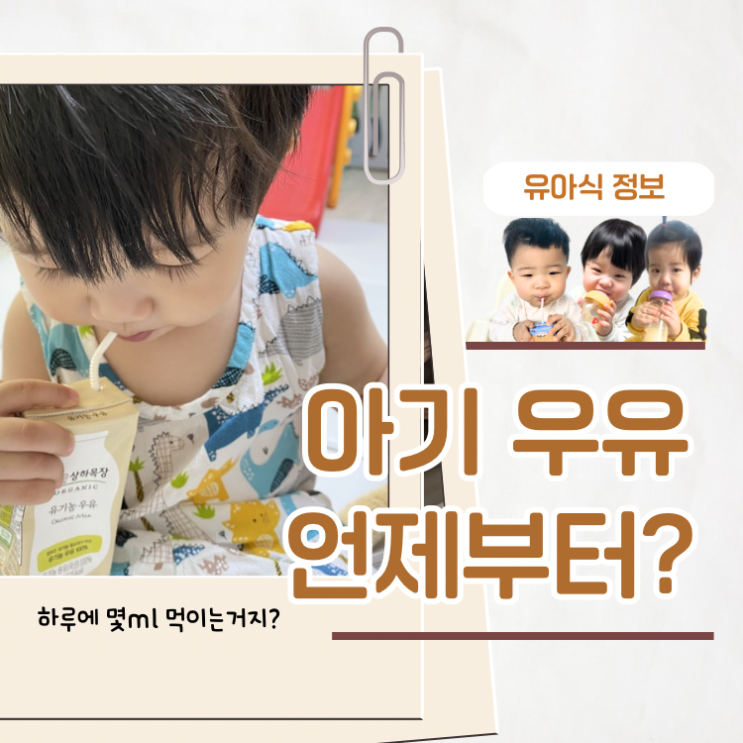  돌아기 우유 언제부터 분유에서 전환 방법 하루 섭취량 한눈에 정리