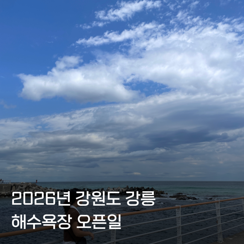 강릉 경포대 해수욕장 개장일 개장기간 안목 경포 정동진 총 정리