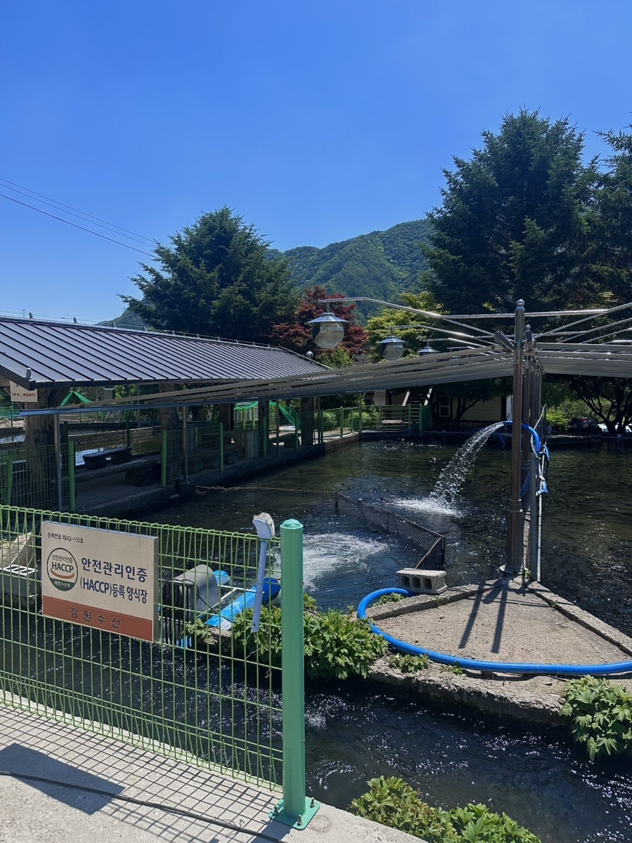 강원수산횟집 사진 3