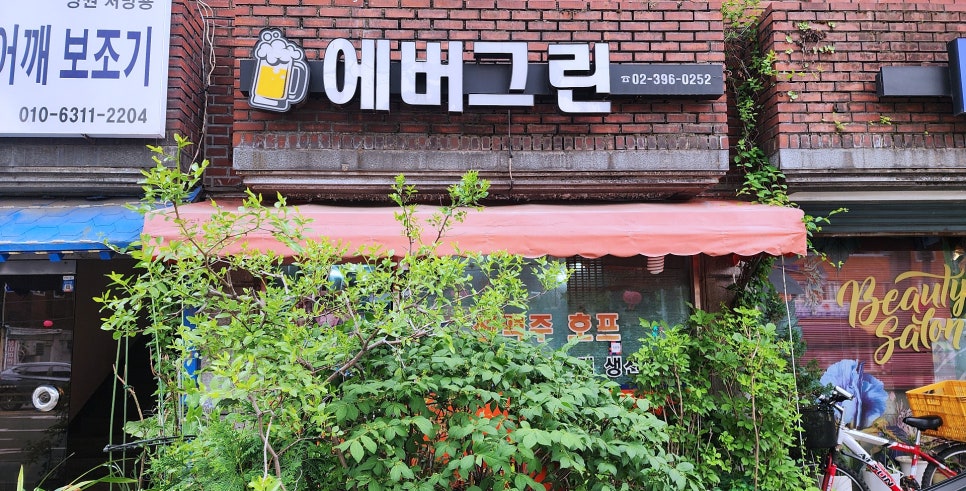 에버그린 사진 2