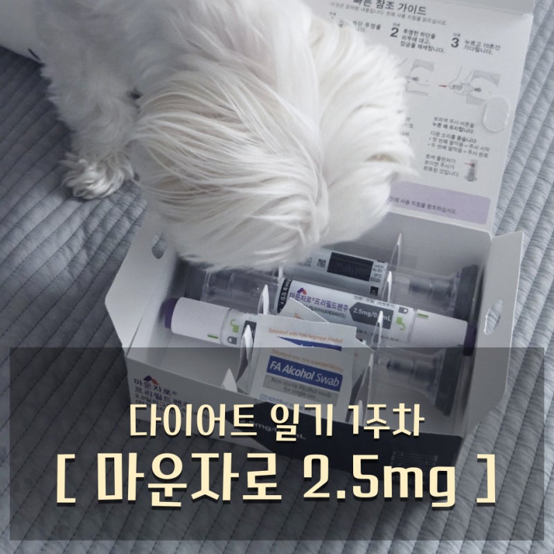 부산 마운자로 찐후기 (2.5mg 시작)