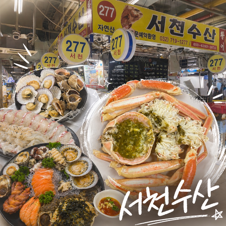 쌍둥이네 사진 1