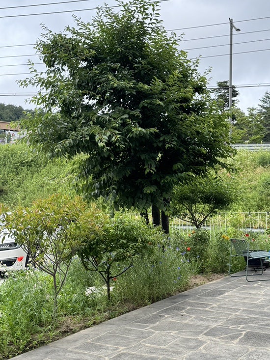 포시즌유 사진 4