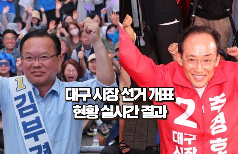 대구 시장 선거 개표 현황 실시간 결과(+추경호 김부겸)