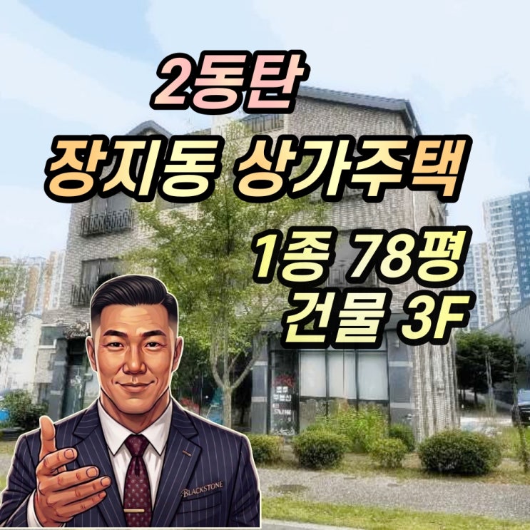  동탄2신도시 장지동 상가주택 경매 2025타경1772