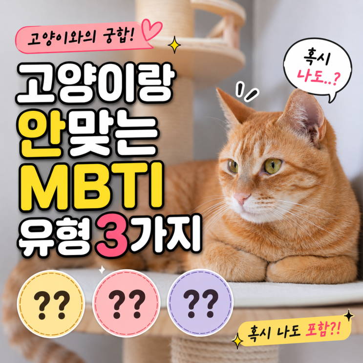  고양이랑 안맞는 MBTI 유형 3가지 (혹시 나도..?)