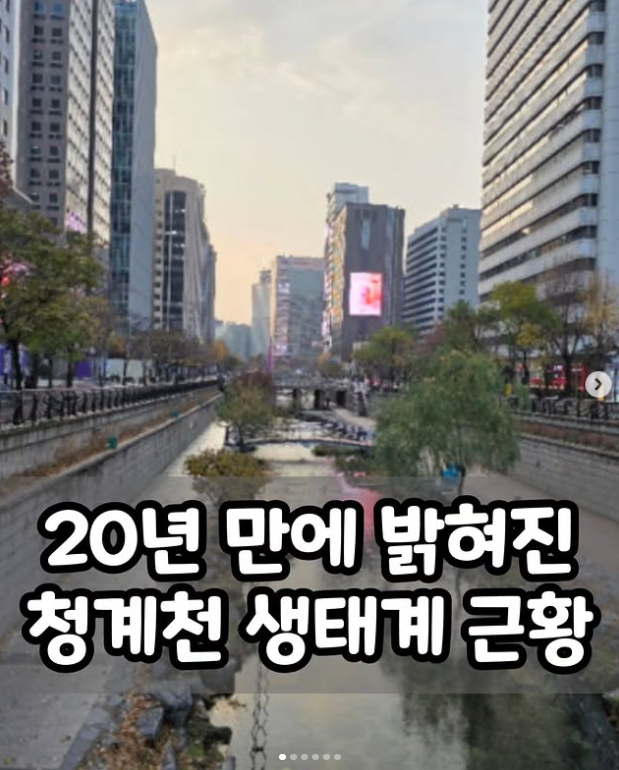 20년 만에 밝혀진 청계천 생태계 근황